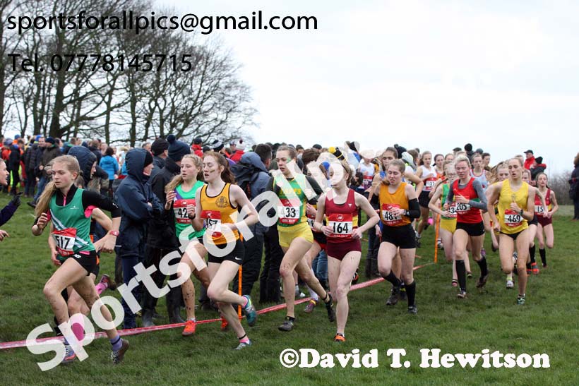 Intermediate girls 2019 New Balance English Schools Cross Country Champs, Temple Newsam, Leeds. Photo:  David T. Hewitson/Sports for All Pics